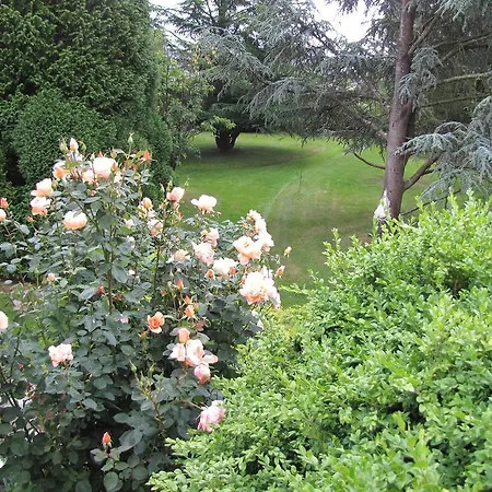 Broceliande